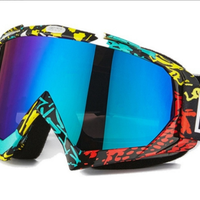 Visiera Moto