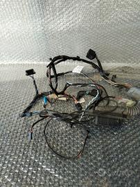 CABLAGGIO PORTIERA ANTERIORE SX 7184659-05 BMW X5 