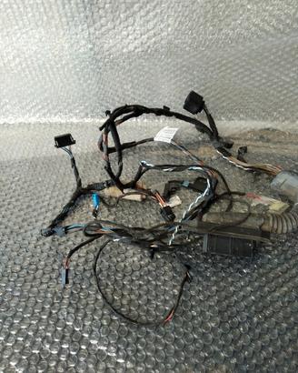 CABLAGGIO PORTIERA ANTERIORE SX 7184659-05 BMW X5 