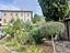 Immagine 11