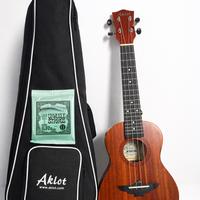 Ukulele Aklot Concert