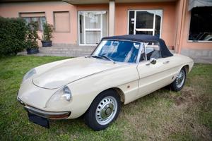 Alfa romeo spider 1.6cc osso di seppia 1967