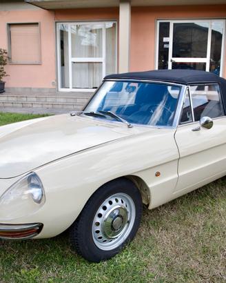 Alfa romeo spider 1.6cc osso di seppia 1967