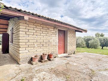 VILLA SINGOLA A ROMA