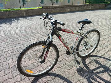 Mountain bike adulto
