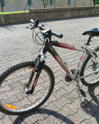 Mountain bike adulto