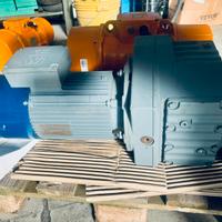 Motoriduttore RF87 dv 100L4 big/es1t