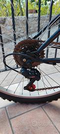 Bicicletta 