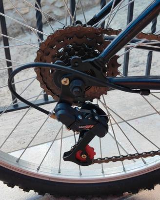 Bicicletta 
