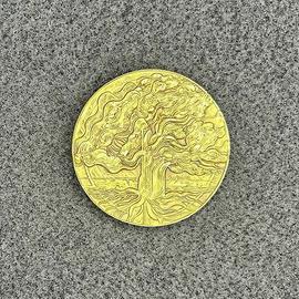 Floriano Bodini - Medaglia M. D’Auria editore