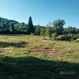 terreno agricolo con annesso zona Cesto
