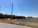 terreno-a-foggia