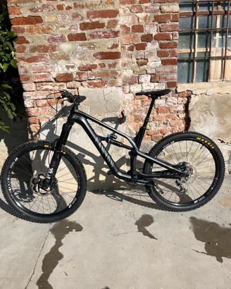 Canyon spectral AL 6.0