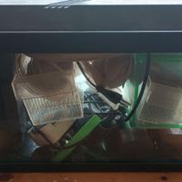 Acquario 40l*23p*20h - circa 20 lt.