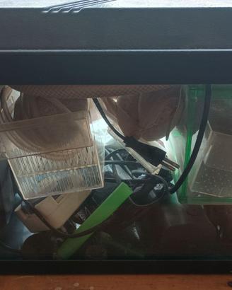 Acquario 40l*23p*20h - circa 20 lt.