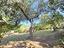 Immagine 26
