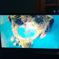 monitor  21 pollici e mezzo