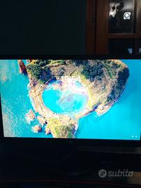 monitor  21 pollici e mezzo