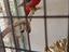 Immagine 4