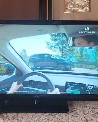 TV 24 POLLICI MARCA SEIKI (NON SMART)