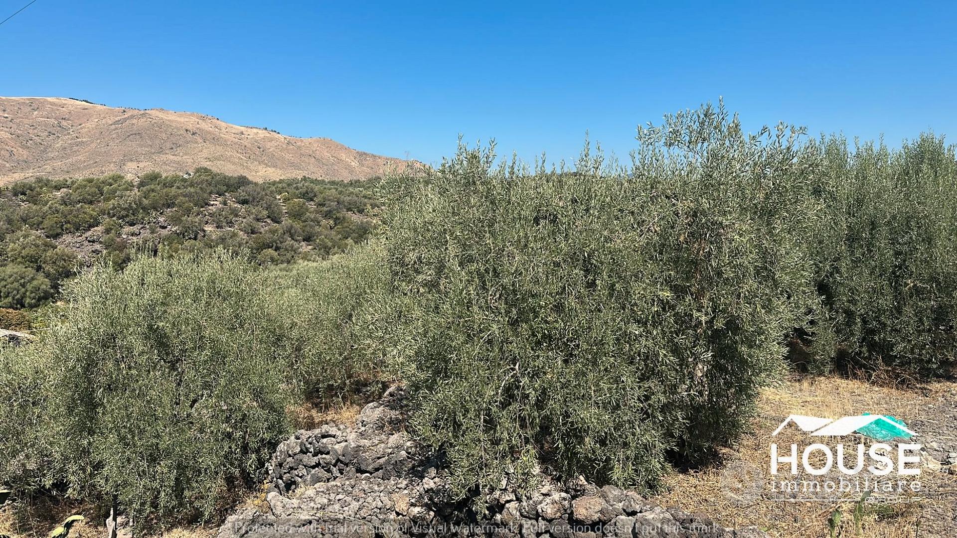 ADRANO – TERRENO CON CASEGGIATO - Vista 3