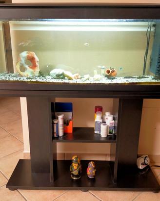 ACQUARIO MISURA CM. 100X30X40