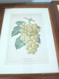  due litografie antiche 