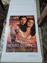 Locandina  del film Il Profumo del Mosto selvatico