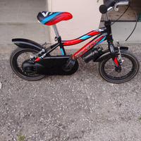 Bicicletta bimbo 3-5 anni