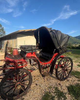 Carrozza cavalli