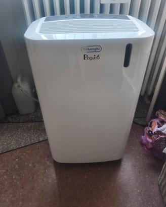 Climatizzatore Pinguino De Longhi