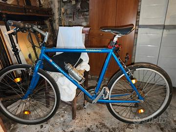 Bicicletta terrago giant