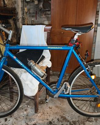 Bicicletta terrago giant