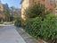Immagine 11