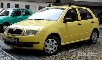 Parabrezza Skoda Fabia (99-07)