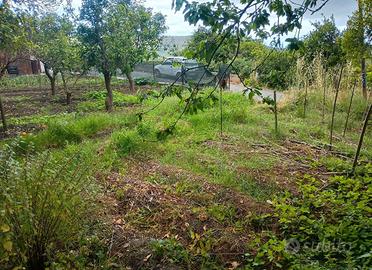 Terreno rustico