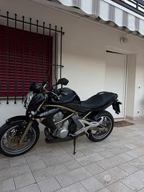 Kawasaki er6n