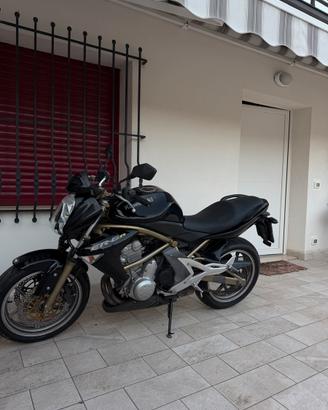 Kawasaki er6n