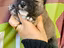 Immagine 9