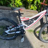 Bici mtb/dh