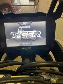 Tiger 900