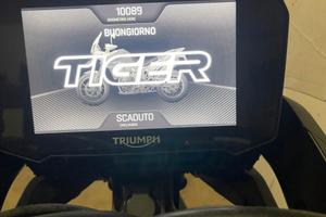 Tiger 900