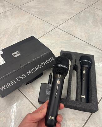 2 microfoni professionali