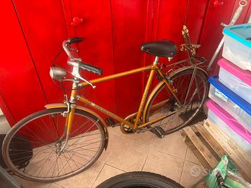 Bicicletta rara zecchini uomo
