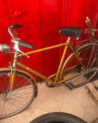 Bicicletta rara zecchini uomo