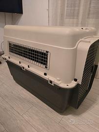 kennel 