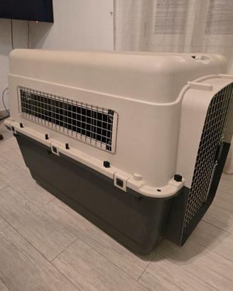 kennel 