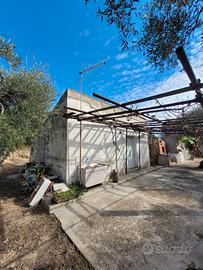 Terreno con uliveto, locali e forno a Miglionico