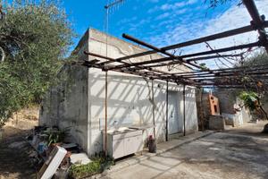 Terreno con uliveto, locali e forno a Miglionico