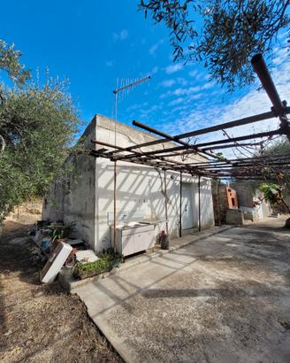 Terreno con uliveto, locali e forno a Miglionico